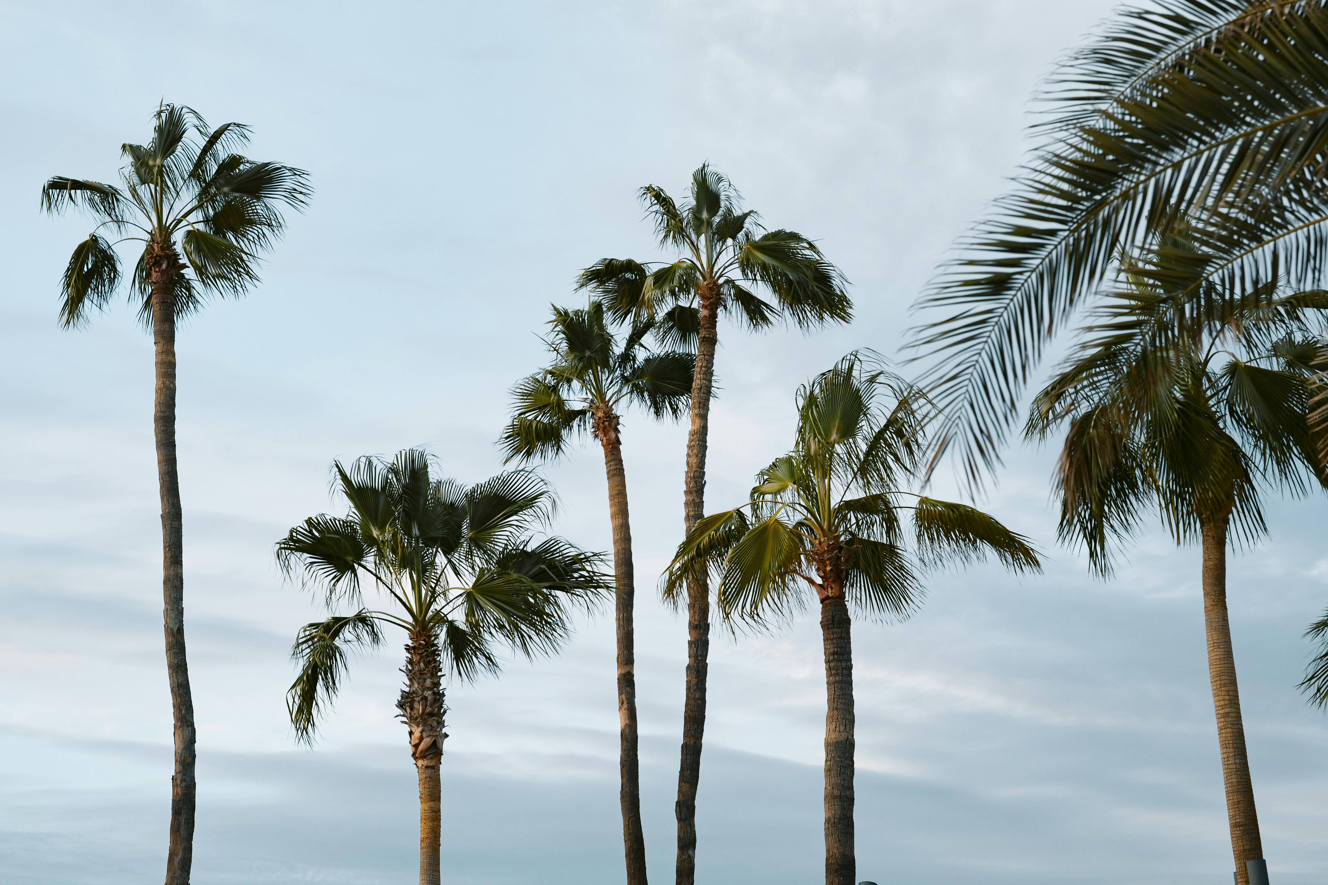 Southern California delivery driver road.